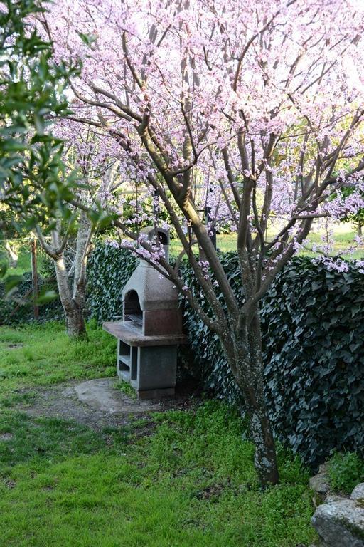 Casa Rural El Pilar Acebo Zewnętrze zdjęcie