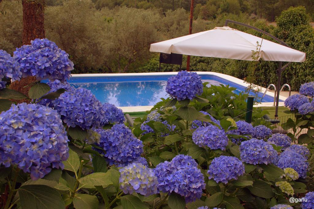Casa Rural El Pilar Acebo Zewnętrze zdjęcie