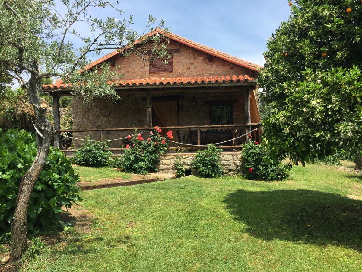 Casa Rural El Pilar Acebo Zewnętrze zdjęcie